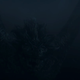 I am not kidding; this is supposed to be visible.